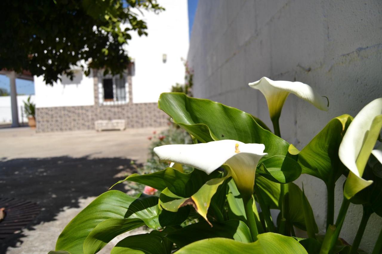 La Orquidea De Cordoba Villa Exterior foto